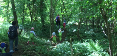 Forest School May 22nd 2017